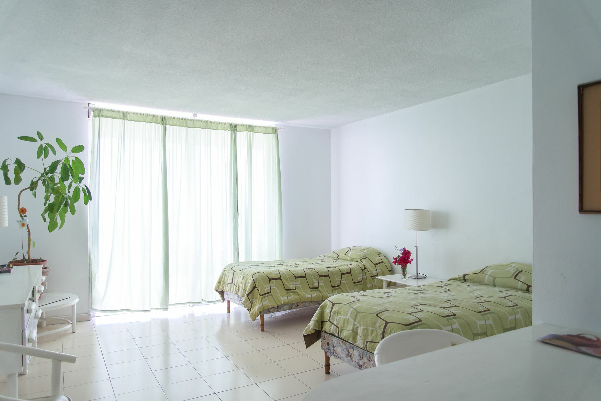 Montego Bay Club Apartments Dış mekan fotoğraf